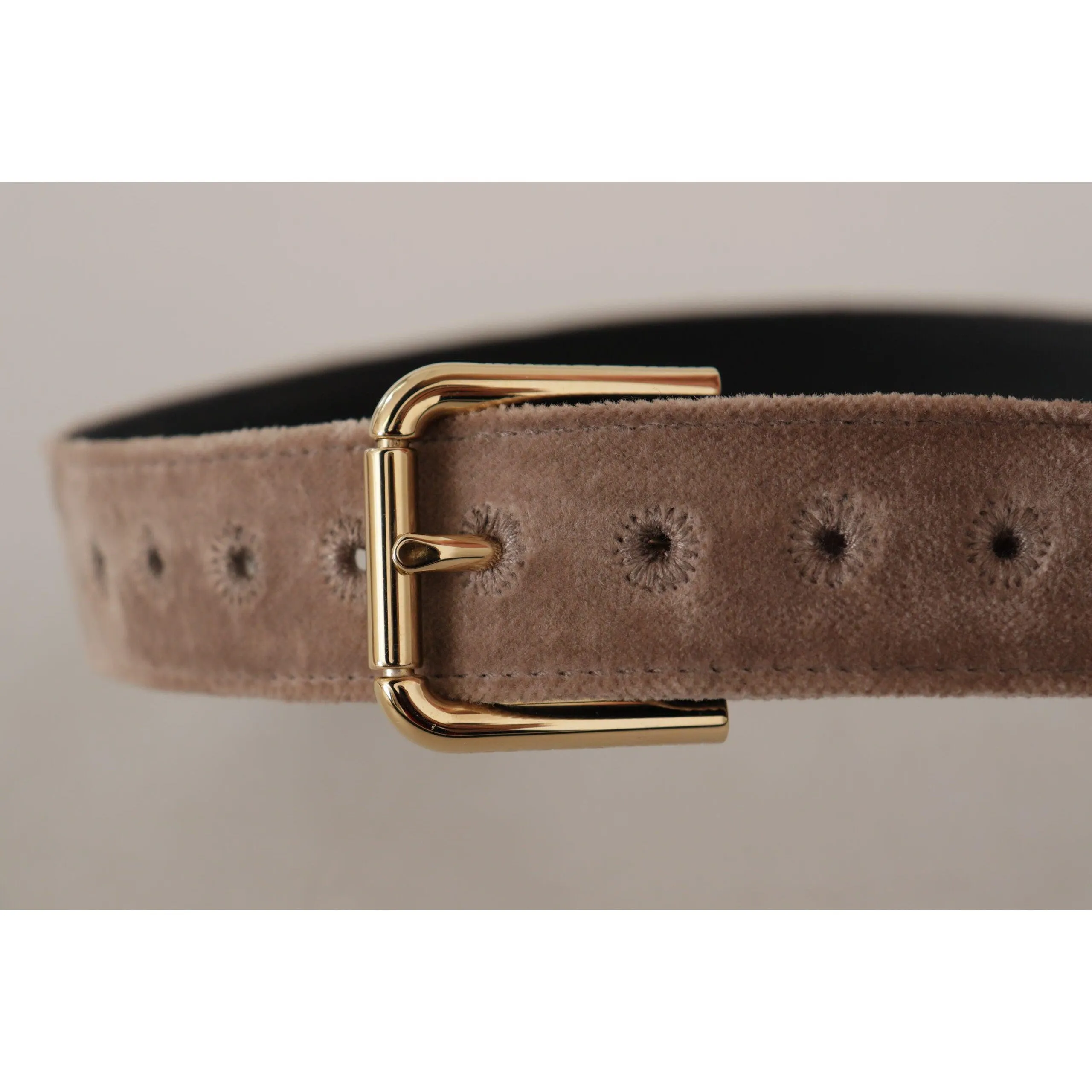 Dolce & Gabbana Elegant Velvet Logo Buckle Belt